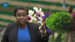 This Florist went from growing FLOWERS to growing MONEY in Lagos | Busines Insider