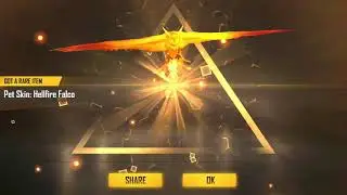 Falco pet skin