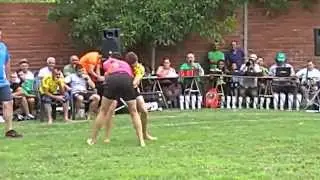 LUCHA LEONESA 2015 - VILLAFA&Ntilde;E