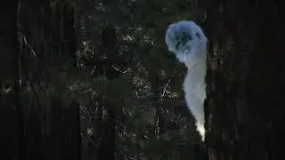 Love story from Snow Beast (Japan-Yeti version)