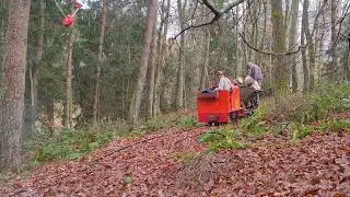 Holzmachen bei der Waldbahn Carlsberg
