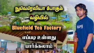 நுவெரெலியா போகும் வழியில் அமைந்துள்ள Bluefield Tea Factory | Tamil travel vlog Sri Lanka