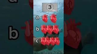 Trivia del Mar