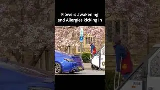Springtime in New Jersey means flowers and allergies coming to get you. #youtubeshorts #shorts