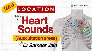#heartsounds #auscultation areas explained | Aortic, Tricuspid, Pulmonary, Mitral and Erb&rsquo;s area