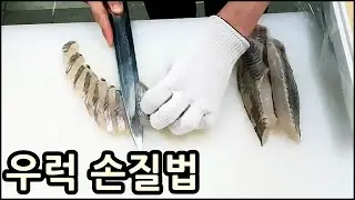 우럭낚시 시즌 시작을 앞두고 ! 우럭 손질법 / 우럭 회뜨는 방법