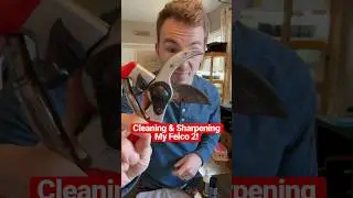 How To Clean & Sharpen Felco 2 Pruning Shears ✂️