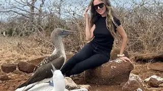 Отель La Laguna на острове Исабела, Галапагосские острова, Эквадор 🇪🇨. Номера, удобства и завтрак 🍳