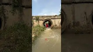 Watch a village girl catch fish in an incredible way | Indian girl fishing |#shorts #shortvideo #yt