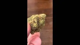 Orange Cake by AAAA 27%thc non irradiated Quick Look. How good is the Venty??? #cannabiscommunity 