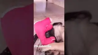 my# pug# Bhaira playing his toy# male puppy pug dog good activities#pug#puppypug#puglove#