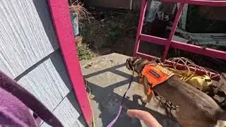 Search for treat 2 Nicole 8/25/25
