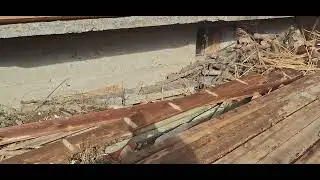 ХД (1922) ПОСЛЕДВАНИ РАЗМИСЛИ І пастор Митко ДИМИТРОВ І МДМ