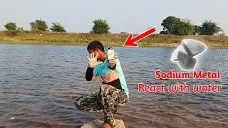 Sodium Metal React With Water😲😲