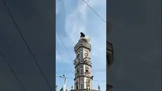 Jashn-e-Azadi Mubarak | 14 August Independence Day Pakistan 2025 | Airplane Landing in Village