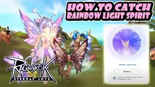 How to Catch Rainbow Light Spirit Pet - Ragnarok Eternal Love Mobile