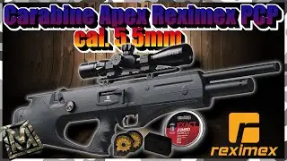 Une précision de fou ! Carabine Reximex Apex 5.5mm bullpup !