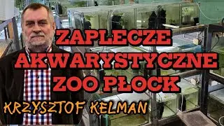 ZAPLECZE AKWARYSTYCZNE ZOO PŁOCK rozmowa z Krzysztofem Kelmanem.