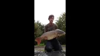 Homemade Carp Boilies - Loads of Proven Tips For 30LB+ Fish!