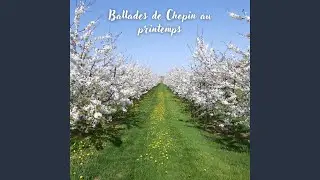 Nocturne in E major, Op. 62 No. 2 *
