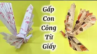 Cách gấp con công từ giấy 🦚🦚🦚