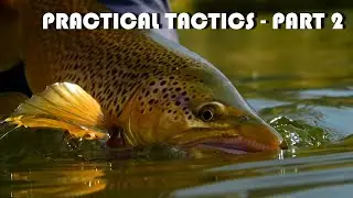 Big Brown Trout: Real-Life Cloudy Day Trout Stream Sight-Fishing Tips & Tactics. Part 2