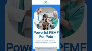 Powerful PEMF for Pets