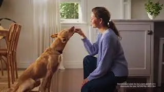 NexGard Spectra Dog Next Level Parasite Protection   TVC 15