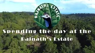 Sio's Photography - Visiting the Bajnath Estate in the Northern Range