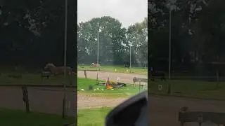 Genau gucken Pony Rudi mischt alle auf #pony #pferd #reiten #party #regen