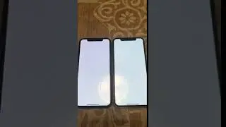 iphone X pink hue