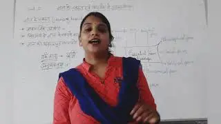 Forms of knowledge  In school  knowledge and curriculum  B  ED 2nd year  shaily jain