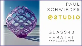 Artist Paul Schwieder The Net. Habatat Direct launching on May 8th 2020 on www.Glass48.com.