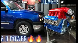 6.0 swap single cab chevy! Engine build! Smurfs new heart
