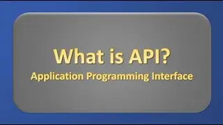 What is API
