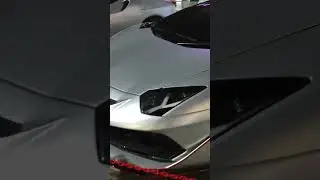 #car #porsche #lamborghini #bike #мотоцикл #катер #road #яхты #закат #животные #animals #остров