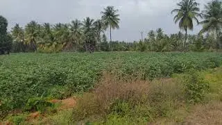 50 சென்ட் இடம் விற்பனைக்கு ஒரு செண்டின் விலை ஒரு லட்சம் மட்டுமே 9344668685