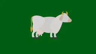 Animated Cow Green Screen Adobe After Effects
