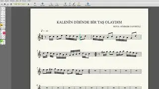 Kalenin Dibinde Bir taş Olsaydım Egzersiz Solfej Nota Öğreniyorum