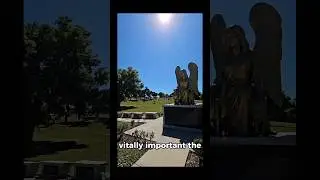 #pets #cemetery #subscriber #death #daytonabeach #fypシ