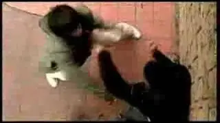 Test Fight - Max Huang VS Andy Long