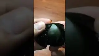 What's inside the Black egg #shorts #viral