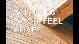 Wood in Architecture: why does wood feel alive?