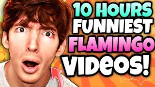 🌟10 HOURS🌟 Of Flamingo Roblox - Funniest Videos (Flamingo Marathon)