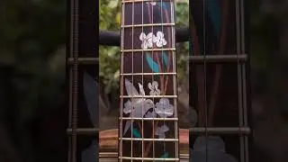 OM Acoustic Guitar  Torrefied Spruce Top, Philippine Ebony Back and Sides