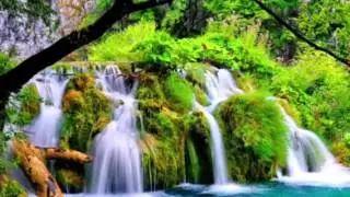 Top 5 Most Beautiful Waterfalls In The Word