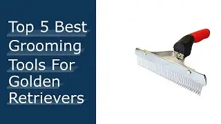 Top 5 Best Grooming Tools For Golden Retrievers - Available On Market
