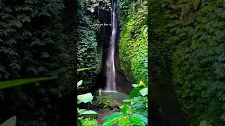 Leke Leke waterfall, Bali 🇮🇩 #Bali #waterfall #shorts #viral
