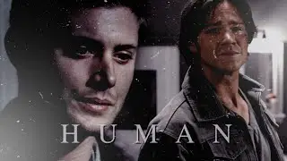 | Supernatural - Human |