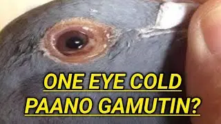 ONE EYE COLD ANO MABISANG GAMOT?